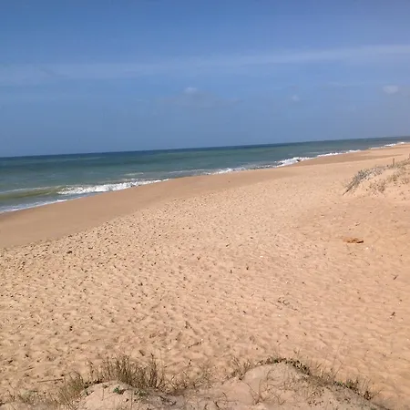 Apartamento Barracuda *