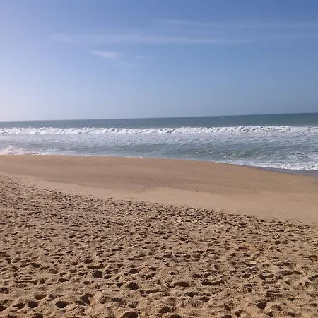 Barracuda Apartamento