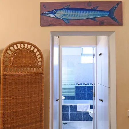 Barracuda * FAO