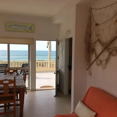 Barracuda Distretto di Faro