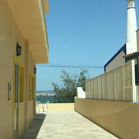 Barracuda Dystrykt Faro