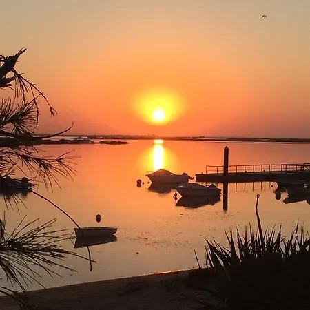 Barracuda Distretto di Faro